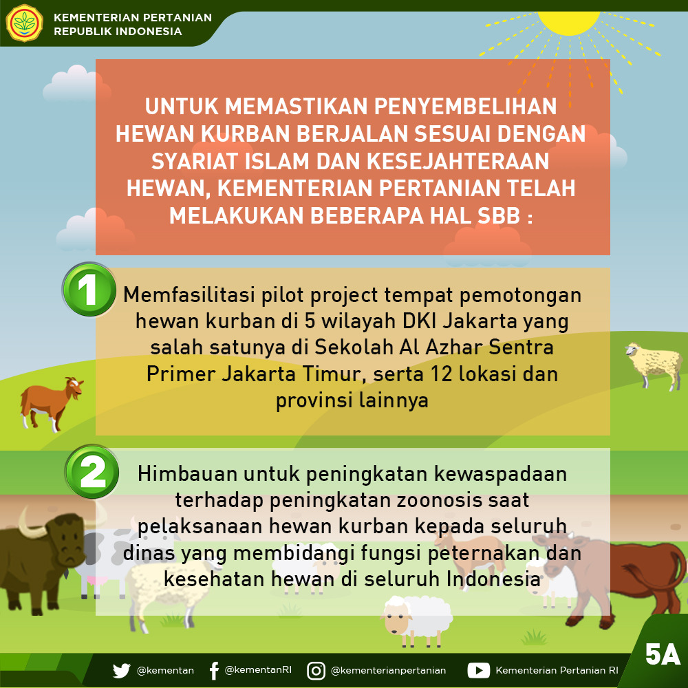 Jamin Kualitas Hewan Qurban, Pemerintah Terapkan Standar ASUH - 20180815